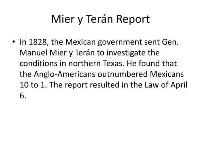 The mier y teran report