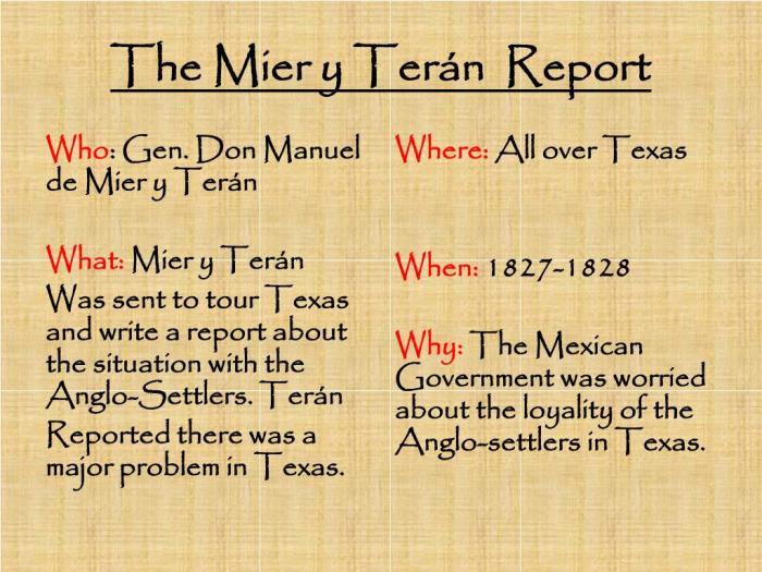 The mier y teran report