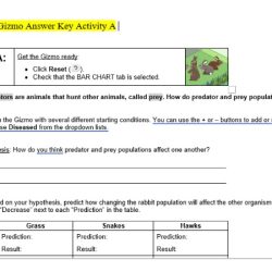 Gizmo student exploration food chain