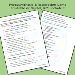 Bioman photosynthesis interactive answer key