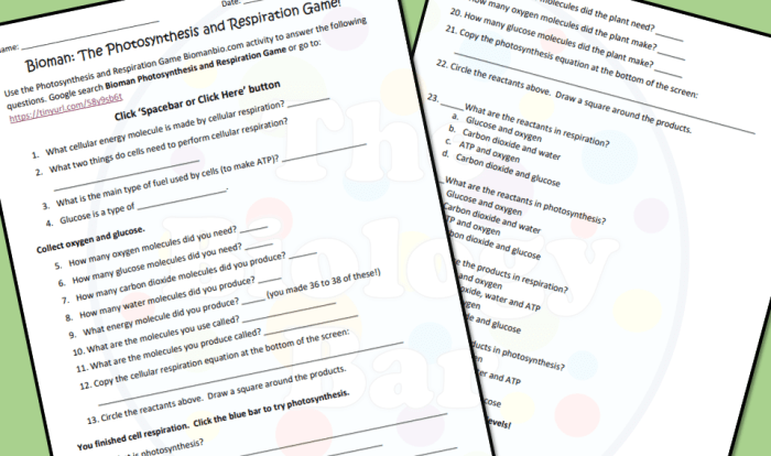 Bioman photosynthesis interactive answer key