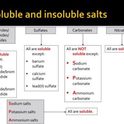 Soluble and insoluble salts lab answers