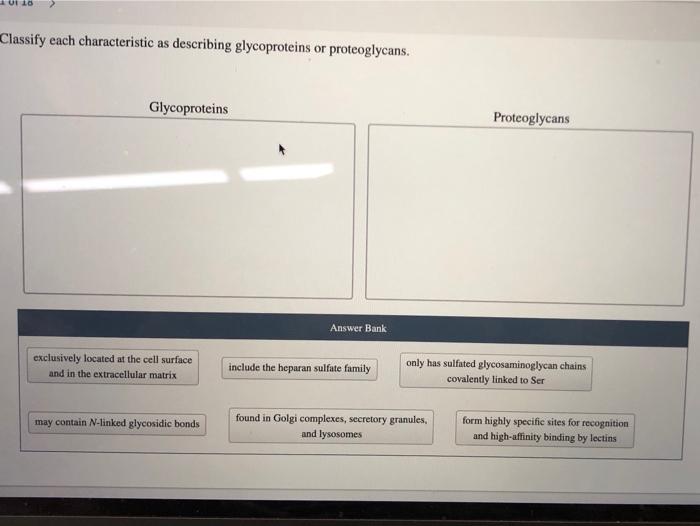 Rna classify describing statements transcription