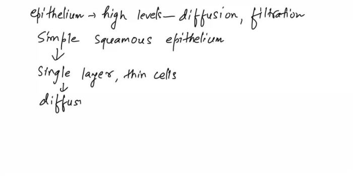 Some bone interiors contain hemopoietic tissue which functions in