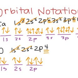 Electron configuration orbital notation worksheet